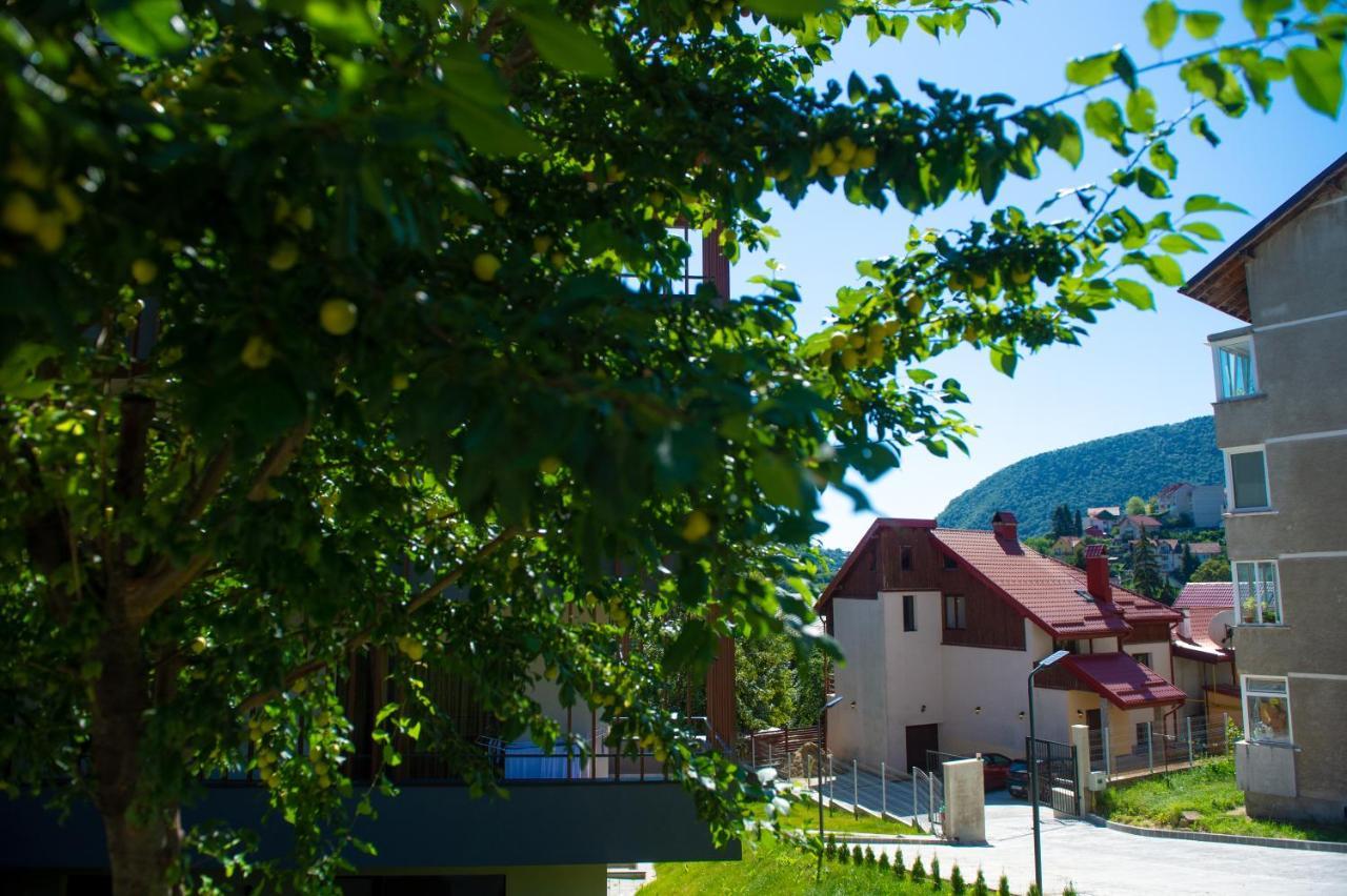Snug Apartments - Private Parking Near Downtown Braşov Exterior foto